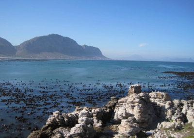 Betty's Bay, South Africa