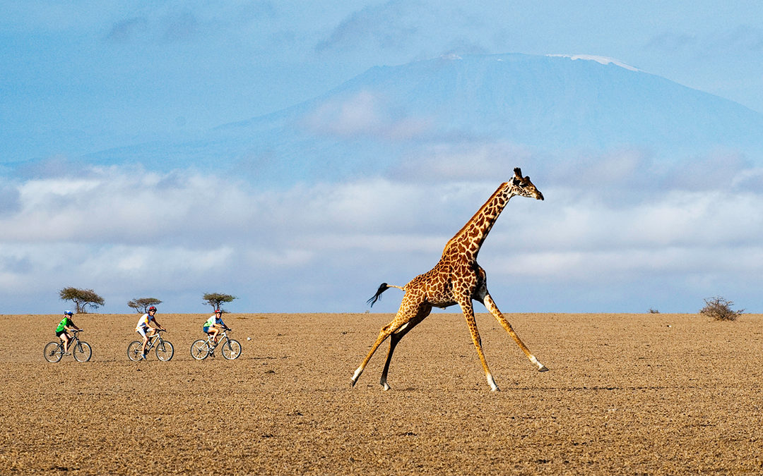 What It’s Like to Go on a Private Safari in Kenya Right Now