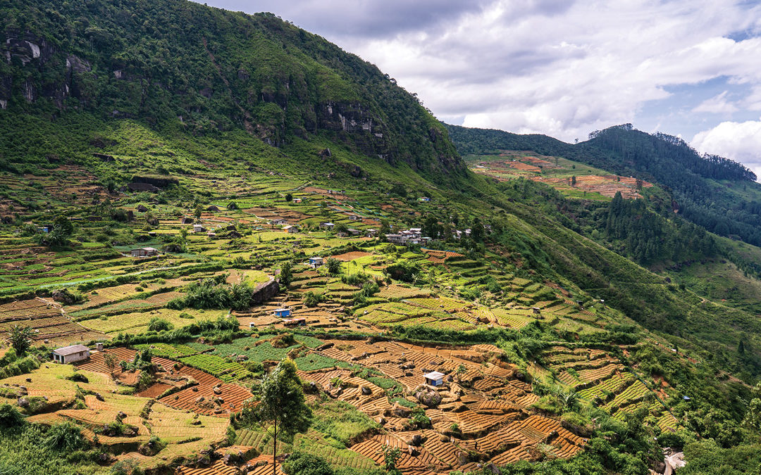 An Eight Day Road Trip through Sri Lanka