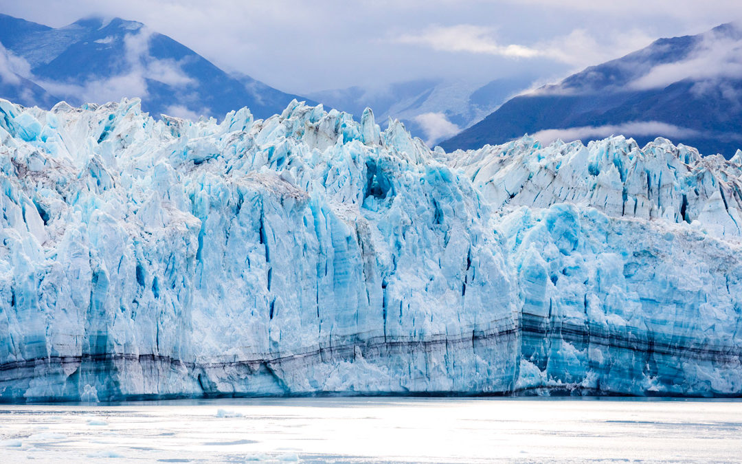 Spot Breaching Whales and Calving Glaciers from Your Balcony