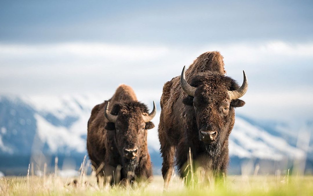 Grand Teton: The National Park No One Knows