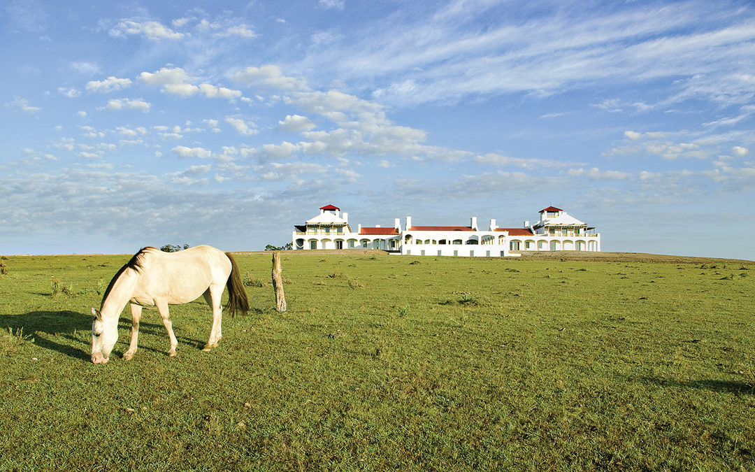 Ride with an Uruguayan Gaucho