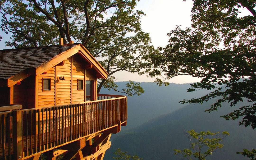 Sleep in a Luxury Tree House at Primland Resort