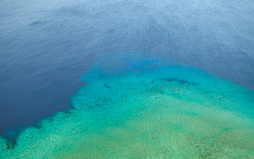 What It’s Like to Dive In Palau’s Jellyfish Lake