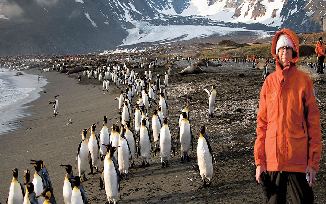 Postcard: South Georgia Island