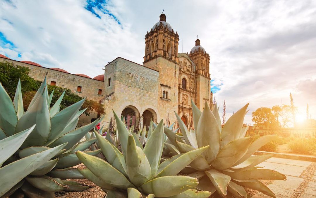 Insider’s Oaxaca