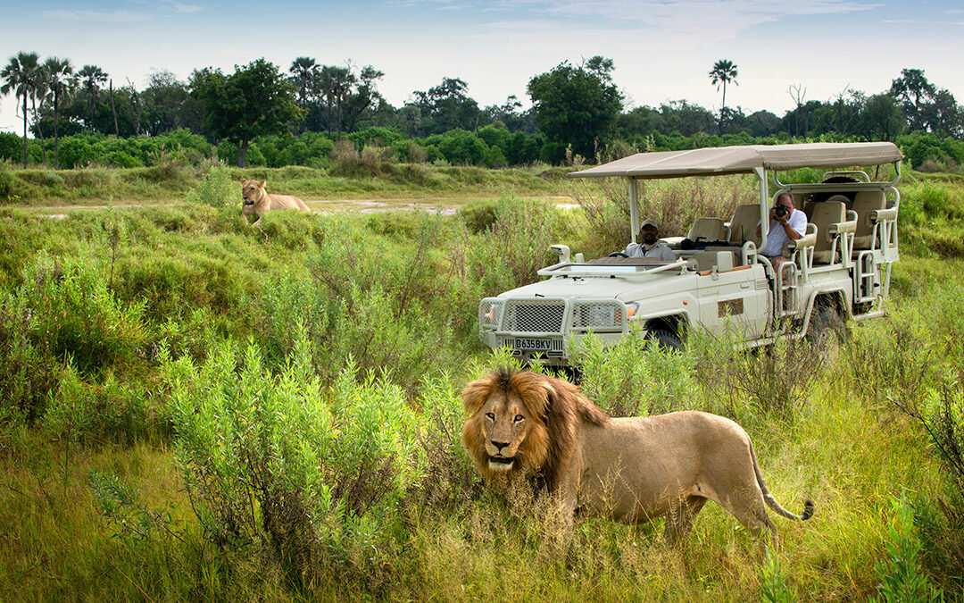 Don’t Believe The Myths about African Safaris