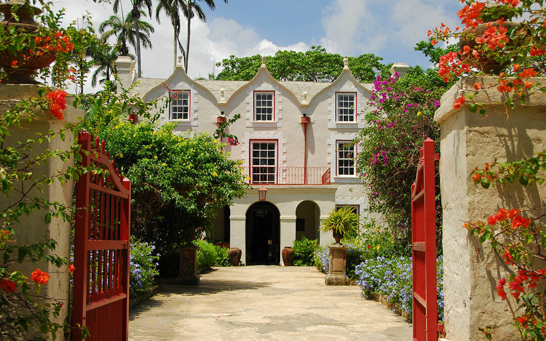 Where to Eat and Drink in Barbados, according to One of Its Best Chefs