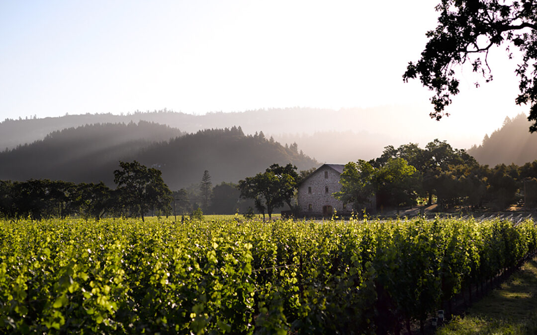 How to Have a Sustainable Wine Country Weekend in Napa Valley