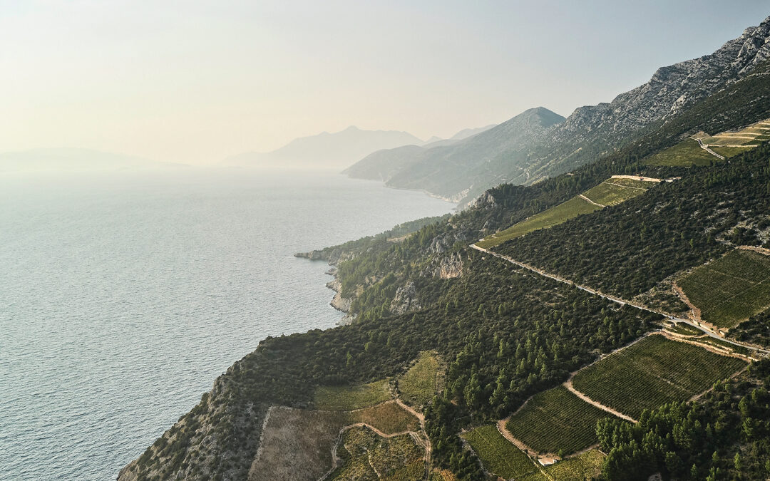 Distinctly Dalmatian: Winetasting on Croatia’s Peljesac Peninsula