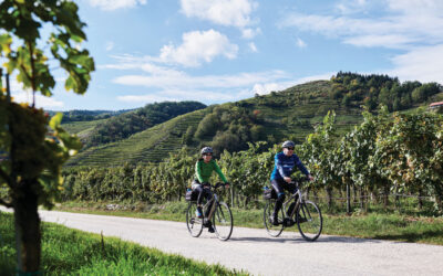 Power Rangers: An E-Bike Vacation along the Danube