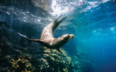 A Father-Daughter Cruise to the Galápagos