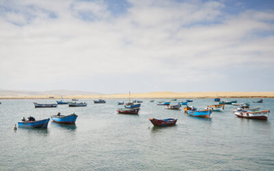 Desert Drifter: Cruising South America’s Wild West Coast