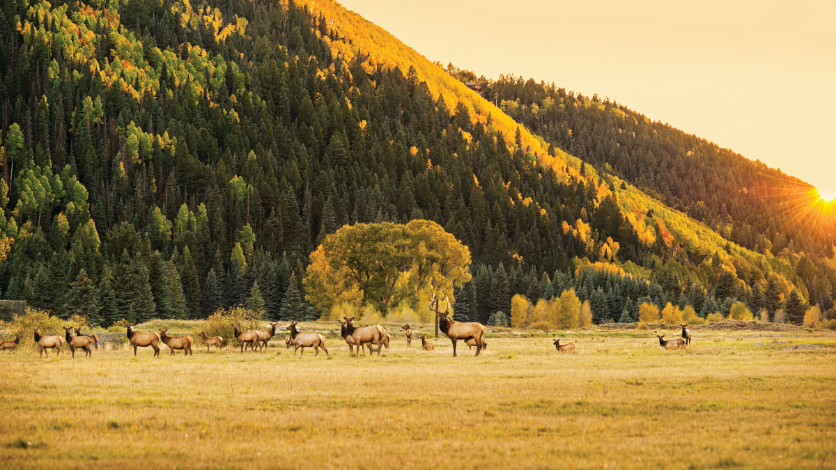 Chasing Fall Splendor on Colorado’s Western Slope