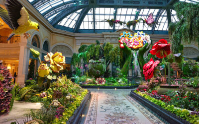 How It Gets Made: Floral Installations at Bellagio’s Conservatory