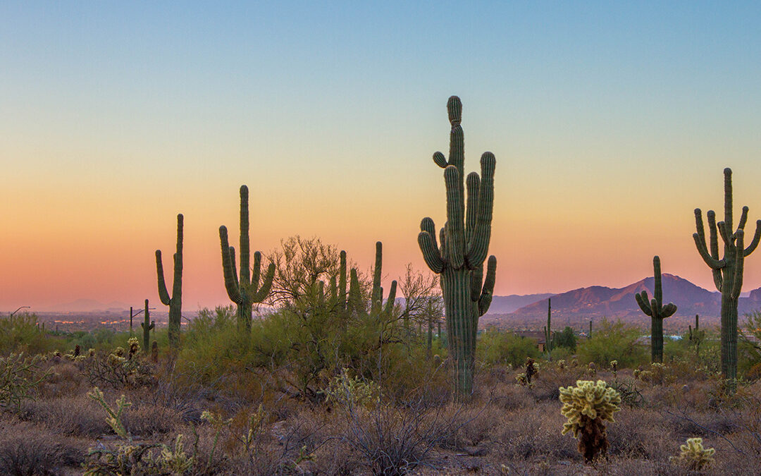 How to Feed Your Mind, Body, and Soul in Scottsdale this Fall