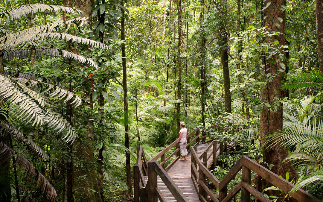 How to Adventure Light in Australia