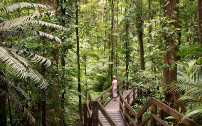 How to Adventure Light in Australia