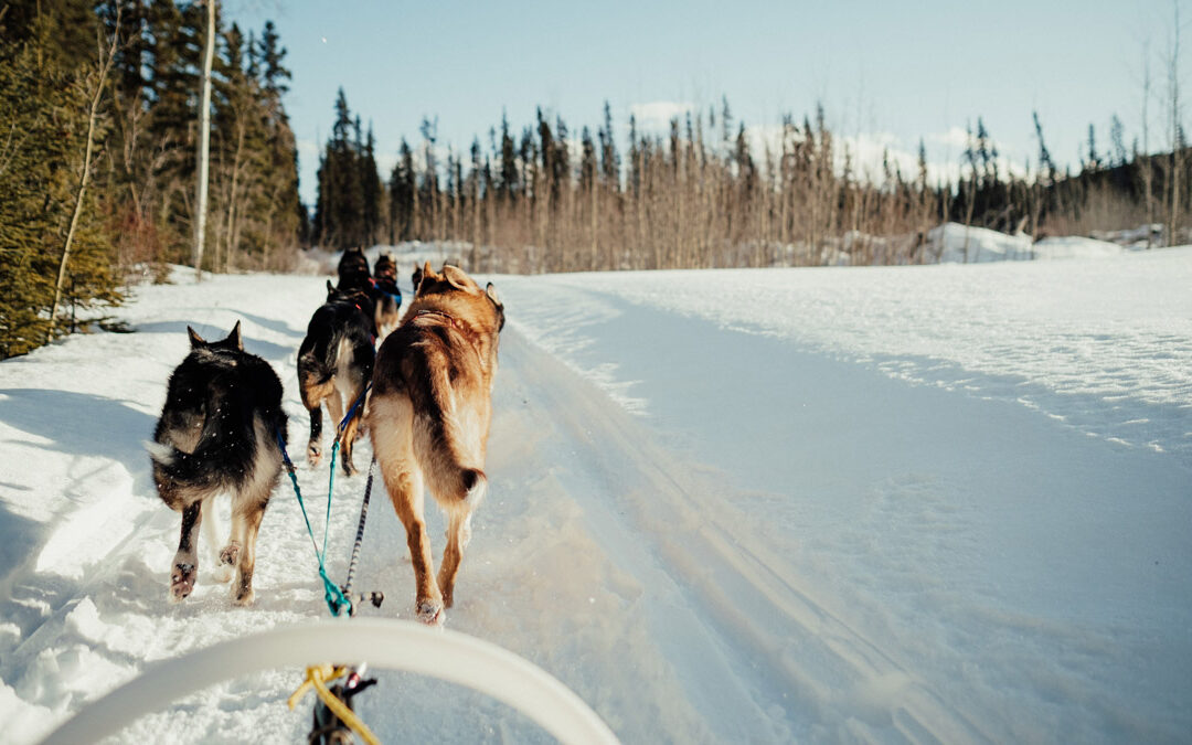 How to Have a Quintessentially Canadian Winter