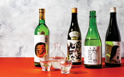 Sake Starter Kit: A Beginner’s Guide to Sipping Well