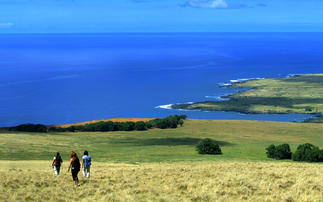 On Easter Island, New Excursions Put Nature and Culture First