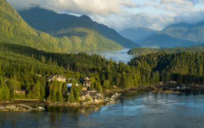 How to Visit Canada’s Great Bear Rainforest and Its Resident Grizzlies