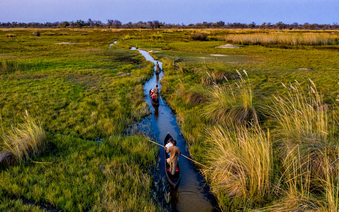 Botswana Safaris 101: Everything You Need to Know