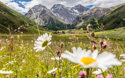 How to Summer in the Swiss Alps