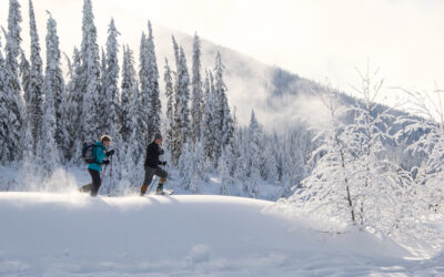 Winter in Canada Is a Cause for Celebration