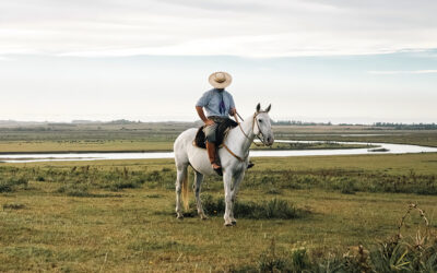 Saddle Up to See What Uruguay Is All About