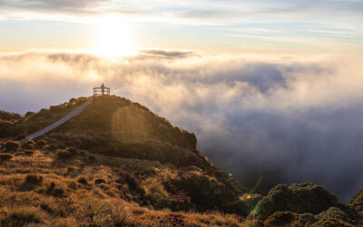 New Zealand’s Hump Ridge Track Is a Tramper’s Delight