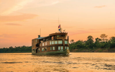 To Save the Amazon Rainforest, Start by Cruising It