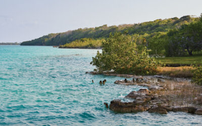 A Mindful Visit to Lake Bacalar