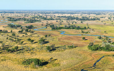 Meet Xigera Safari Lodge’s First Female Mokoro Poler