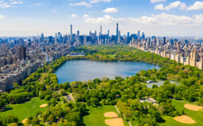 Green City Guide: New York