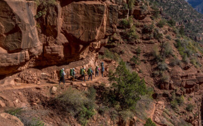 Just Back: Trekking the Grand Canyon from Rim to Rim