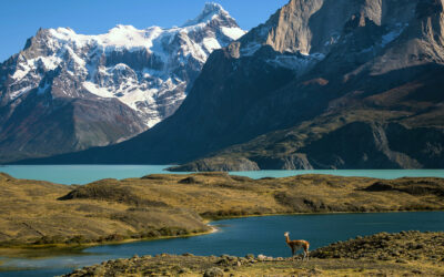The Impact List: 18 Companies Changing the Way We Travel