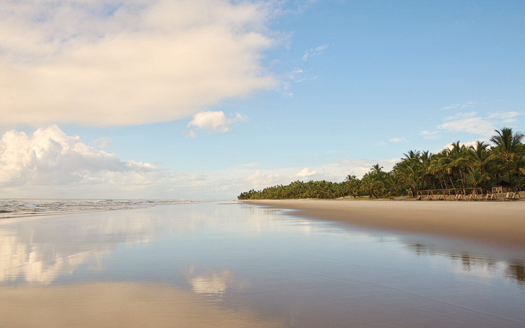 In Surf Capital Itacaré, Conservation Work Supports an Unsung Brazilian Rainforest