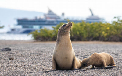 This Megayacht Sails the Galápagos Islands Year-Round
